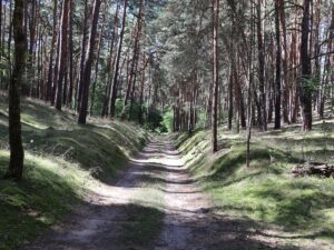 Fresdorfer Heide Feldweg