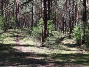 Fresdorfer Heide Pfade und Furchen