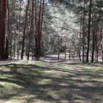 Fresdorfer Heide Schmelzwasserrinne