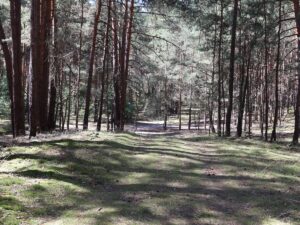 Fresdorfer Heide Schmelzwasserrinne