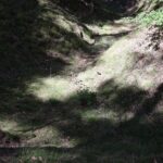 Fresdorfer Heide Unebene Erde