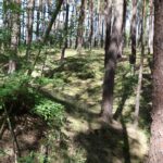 Fresdorfer Heide Wald und Furchen