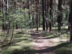 Fresdorfer Heide Weg Hügel hinab