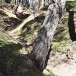 Fresdorfer Heide Windener Höhle