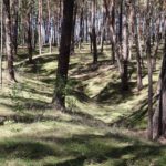 Graben Fresdorfer Heide