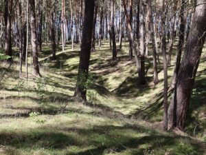 Graben Fresdorfer Heide
