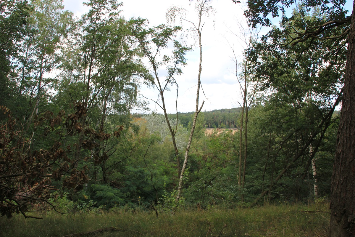 Gesperrter Abhang NSG Sandgrube Grunewald