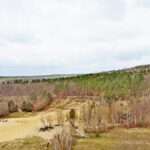 Sandgrube-NSG-Grunewald