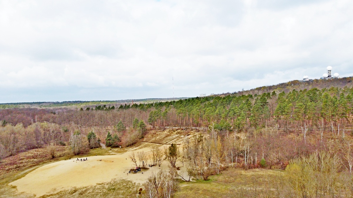 Sandgrube Grunewald | Stadtnatur im Jagen 86