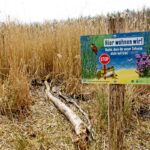 Sandgrube NSG Grunewald