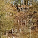 Sandgrube NSG Grunewald