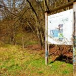 Sandgrube NSG Grunewald