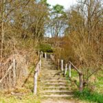 Sandgrube NSG Grunewald