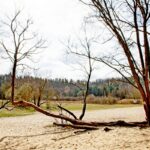 Sandgrube NSG Grunewald