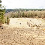 Sandgrube NSG Grunewald