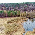 Sandgrube-NSG-Grunewald