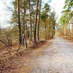 Sandgrube NSG Grunewald 20 Schildhornweg