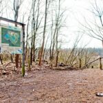 Sandgrube NSG Grunewald 24