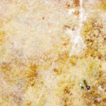 Sandgrube-NSG-Grunewald