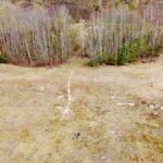 Sandgrube-NSG-Grunewald