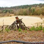 Sandgrube NSG Grunewald 3