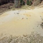 Sandgrube-NSG-Grunewald