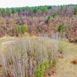 Sandgrube-NSG-Grunewald