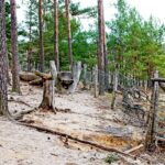 Sandgrube NSG Grunewald