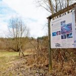 Sandgrube NSG Grunewald