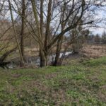 Buschgraben Kanal zum Becken