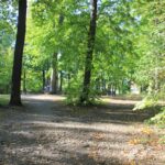 Paul-Mebes-Park Baum im Weg