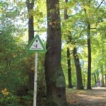 Paul-Mebes-Park Grünfläche