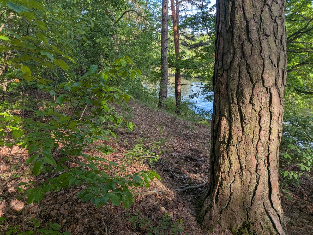 Slawische Grenzburg am Teltowkanal?