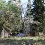 Camporee Gelände