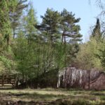 Camporee Zaun Düppel