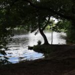 Pohlesee Südufer