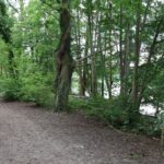 Pohlesee Waldabschnitt