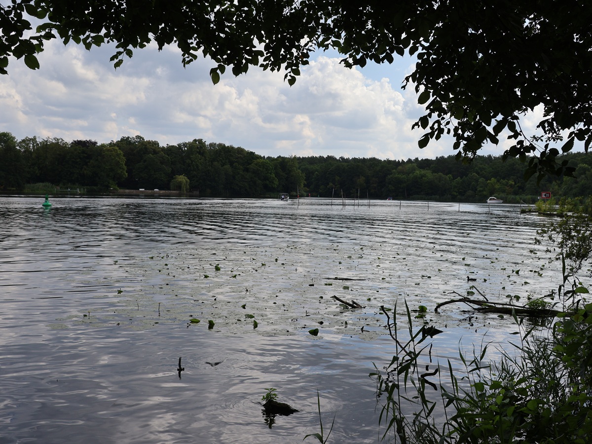 Pohlesee im Ortsteil Wannsee