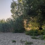 Sand Große Steinlanke Berlin