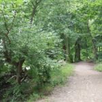 Sieben-Raben-Weg Pohlesee