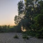 Sonnenuntergang Große Steinlanke Berlin
