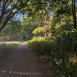 Wege Große Steinlanke Berlin
