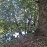 Böschung Kiesgruben Ahrensdorf