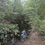 Kleiner Teich Kiesgruben Ahrensdorf