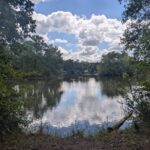 Teich Kiesgruben Ahrensdorf