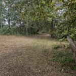 Weg zur Wiese Kiesgruben Ahrensdorf