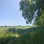 Rieselfelder Städtlersiedlung Teltow