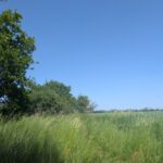 Rieselfelder Städtlersiedlung Teltow2