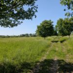 Rieselfelder Städtlersiedlung Teltow3