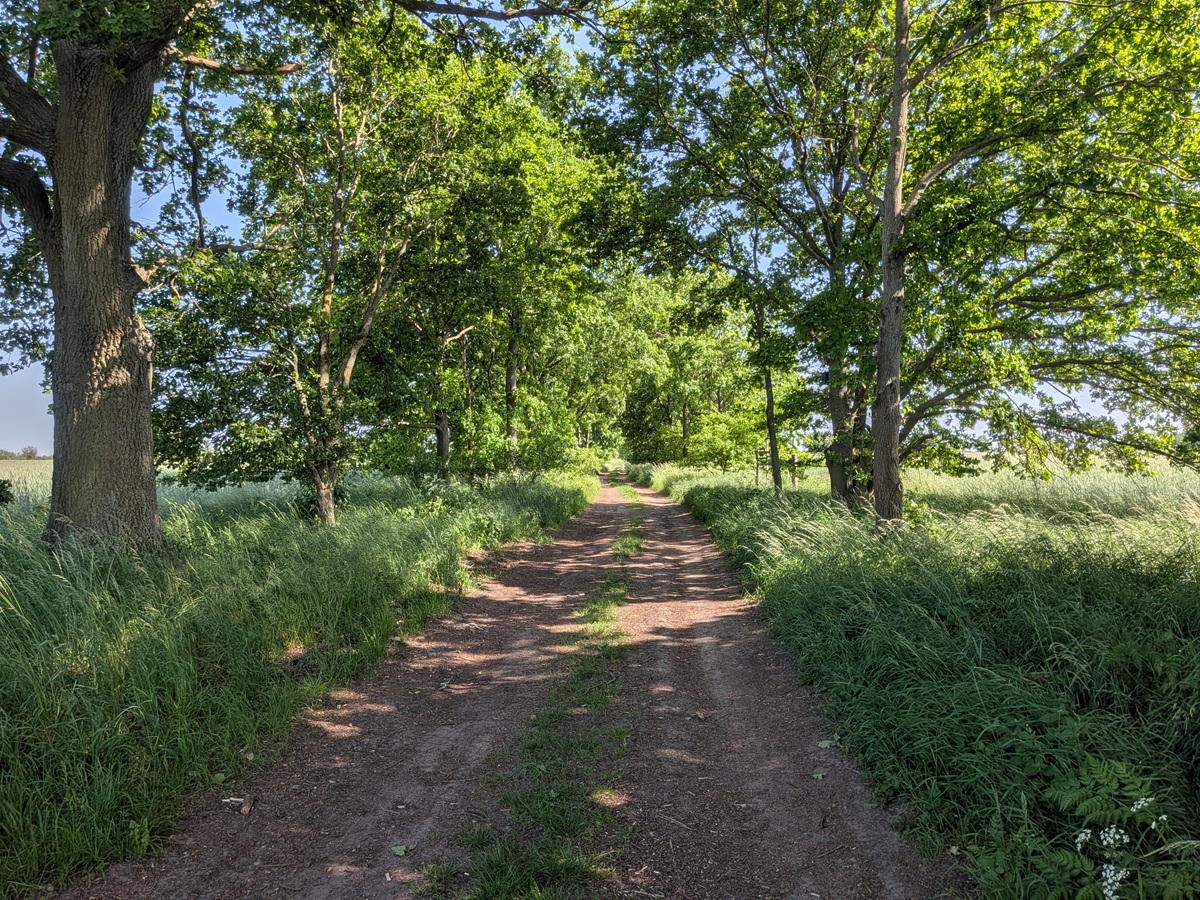 Ehemalige Rieselfelder bei der Städtlersiedlung